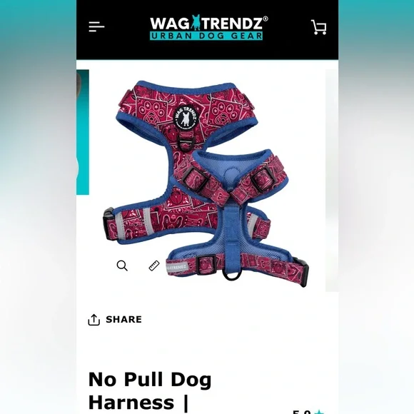 Dog Harness, No Pull - Picture 2 of 15